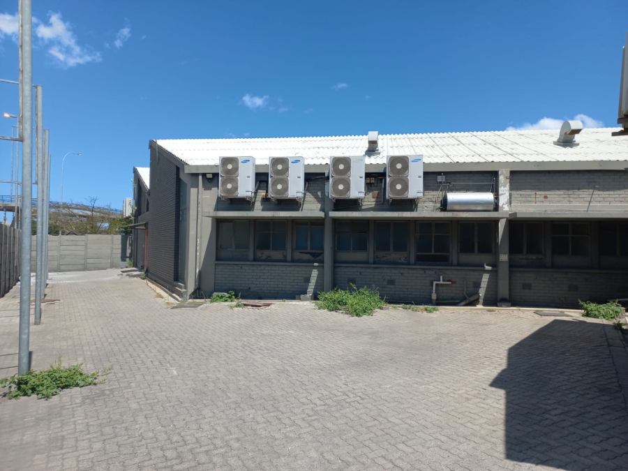To Let commercial Property for Rent in Paarden Eiland Western Cape